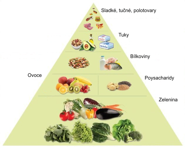 Moderní potravinová pyramida